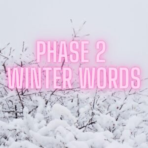 winter phonics words