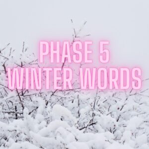 winter phonics words