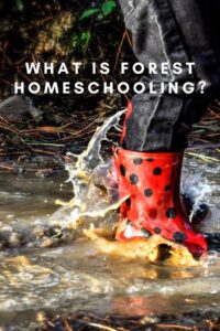 forest homeschooling