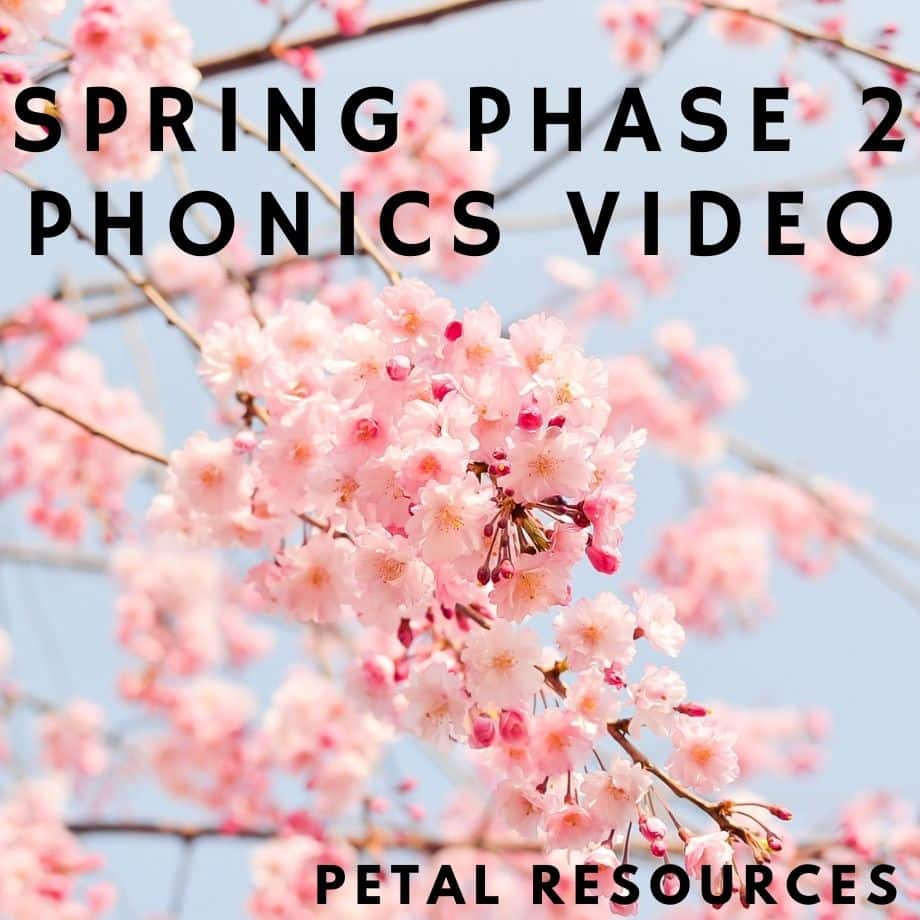 phonics video lesson