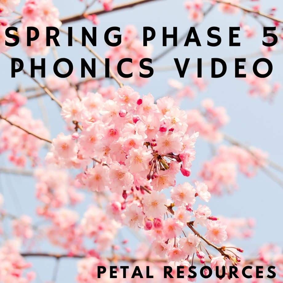 phonics video lesson