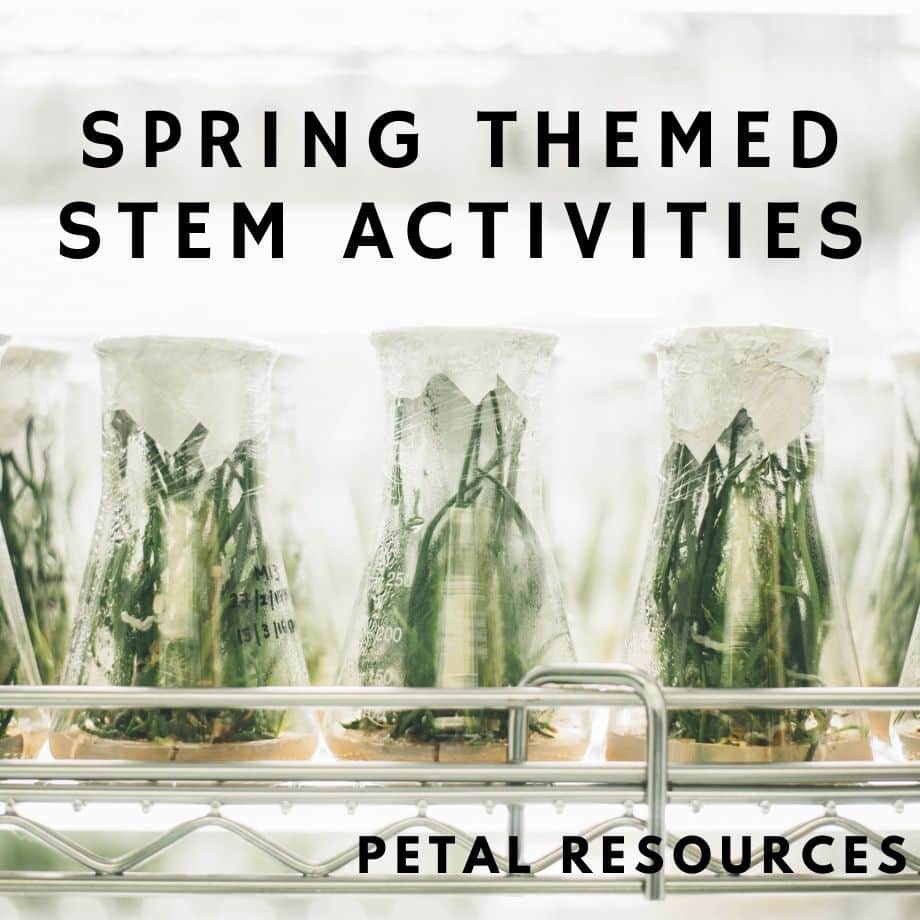 Spring STEM