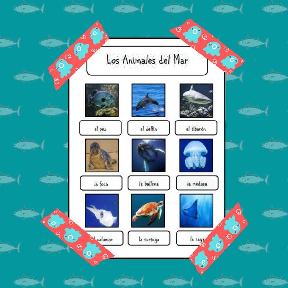 Learning Animal Names in Spanish