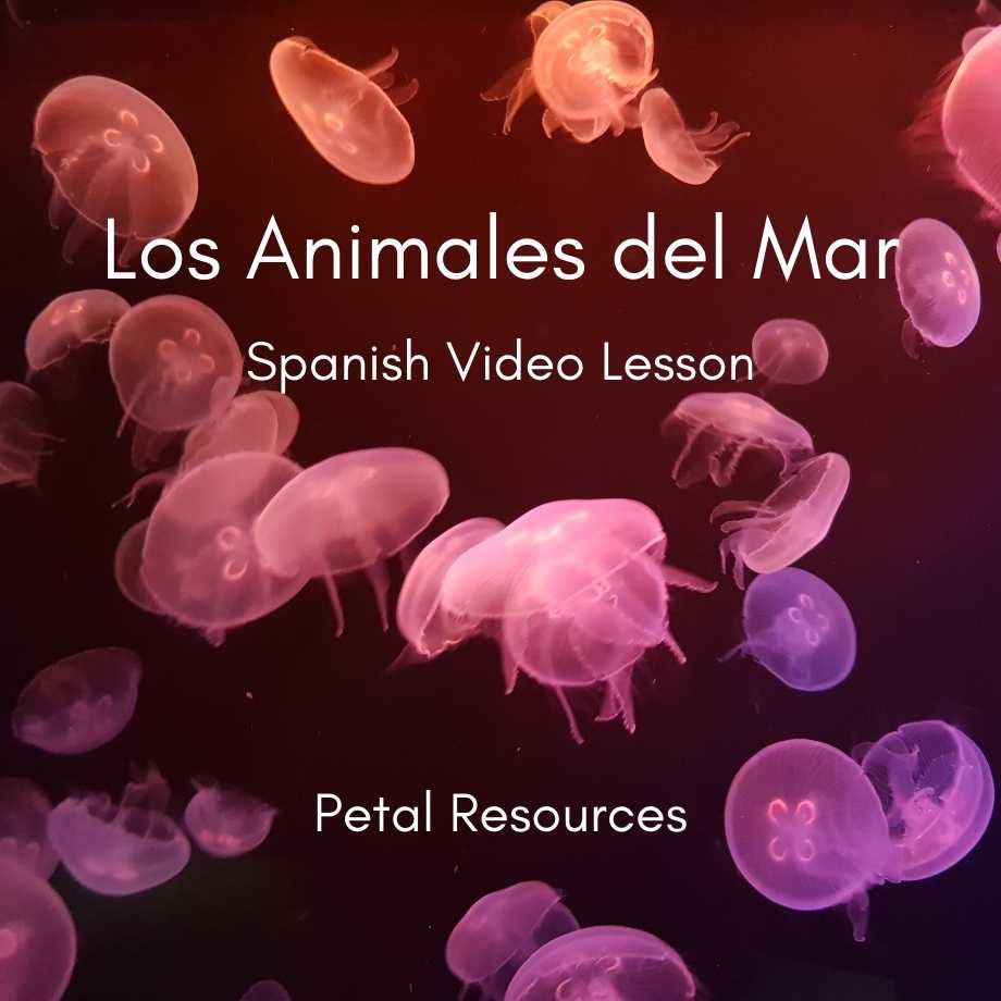 Spanish Video Lesson
