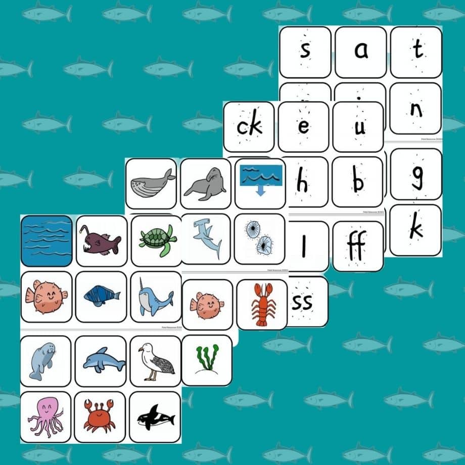 Phonics Flashcards