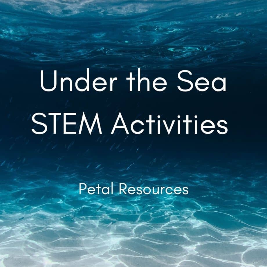 Under the Sea Stem Activities