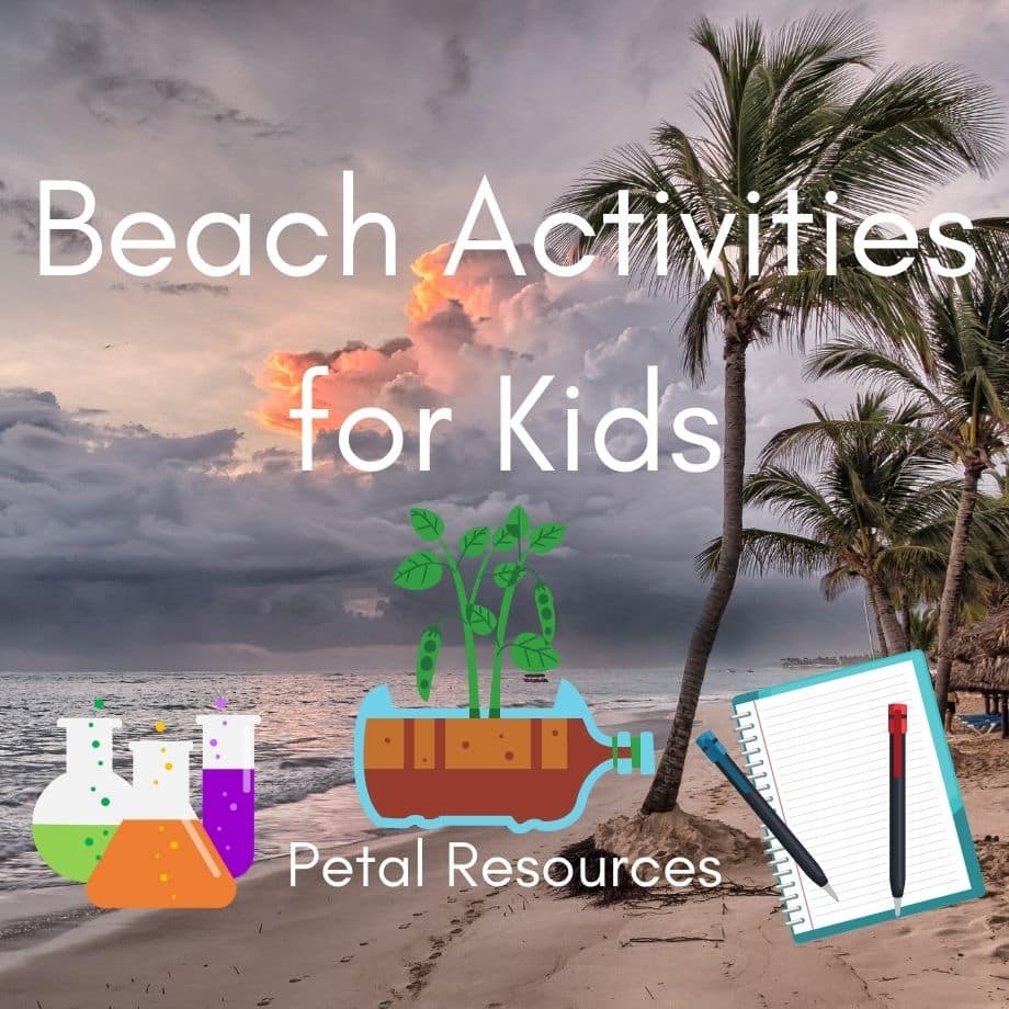 Beach Activities for Kids