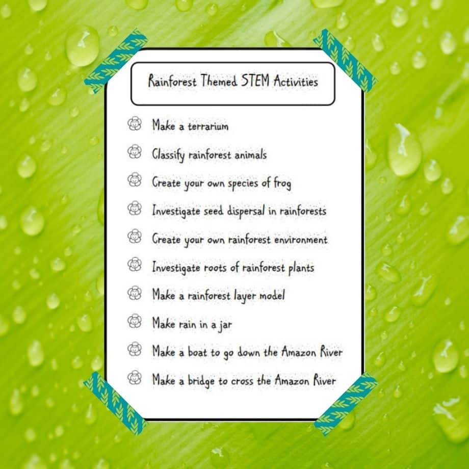 Rainforest STEM Activities