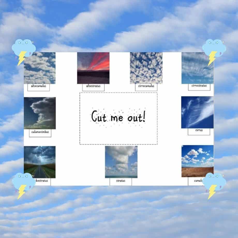 cloud-viewer-diy-identification-tool-petal-resources